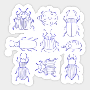 blue bugs and beetles Sticker